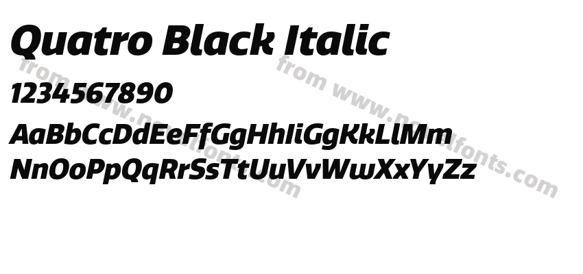 Quatro Black ItalicPreview