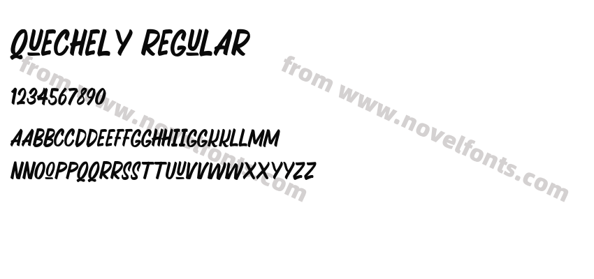 Quechely RegularPreview