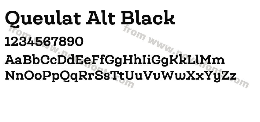 Queulat Alt BlackPreview