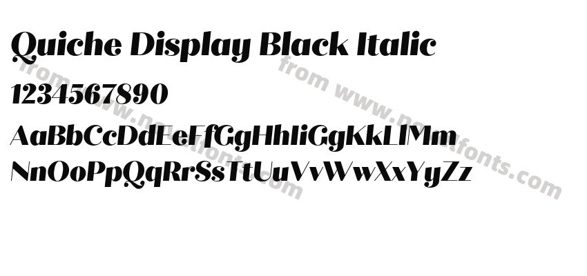 Quiche Display Black ItalicPreview