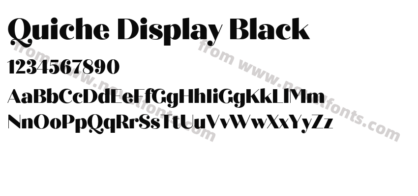 Quiche Display BlackPreview
