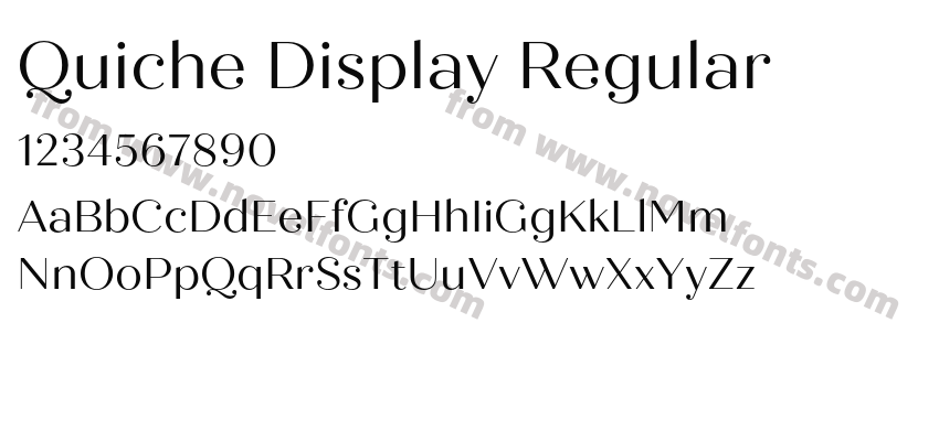 Quiche Display RegularPreview