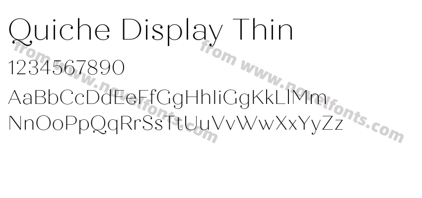 Quiche Display ThinPreview