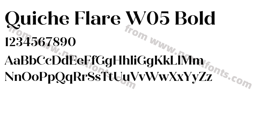 Quiche Flare W05 BoldPreview