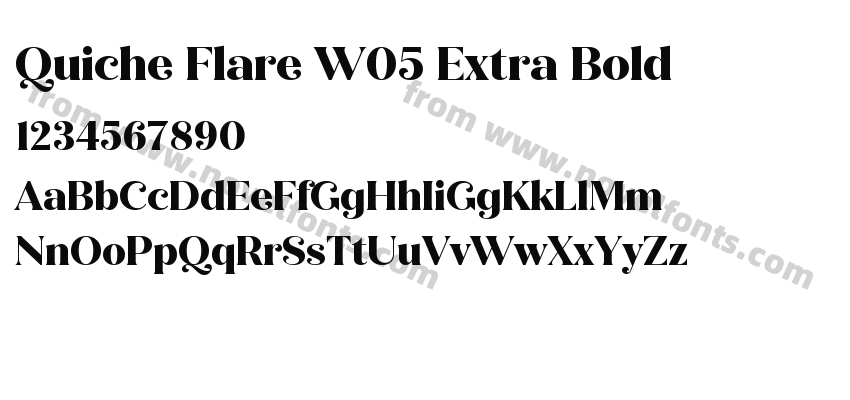 Quiche Flare W05 Extra BoldPreview