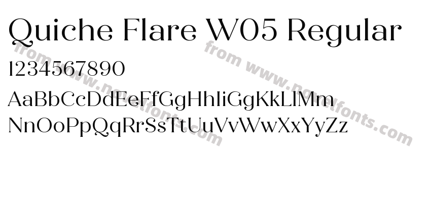 Quiche Flare W05 RegularPreview
