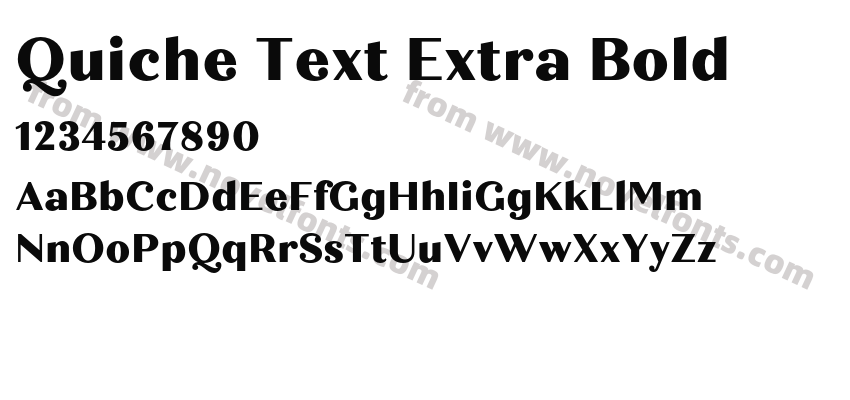Quiche Text Extra BoldPreview