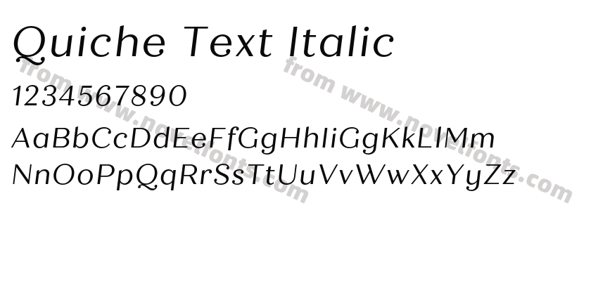 Quiche Text ItalicPreview