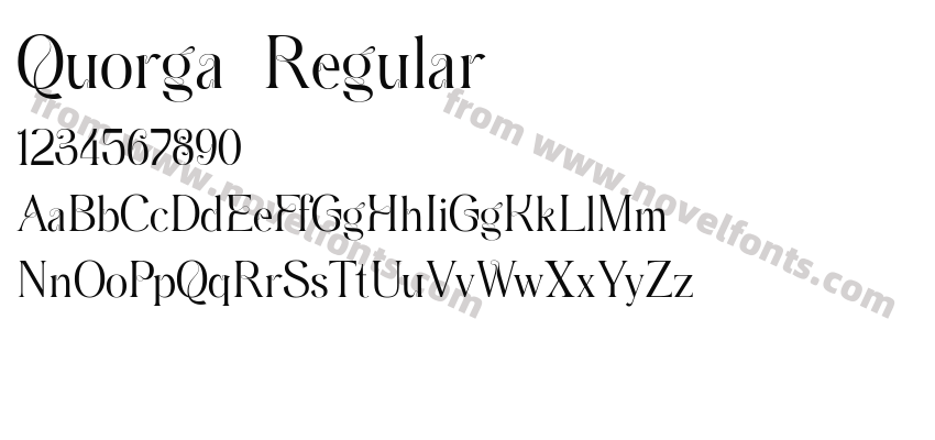 Quorga RegularPreview