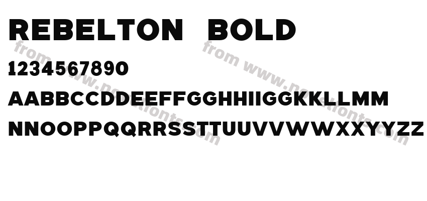 REBELTON BoldPreview