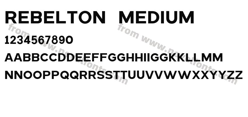 REBELTON MediumPreview