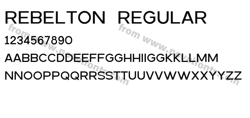 REBELTON RegularPreview