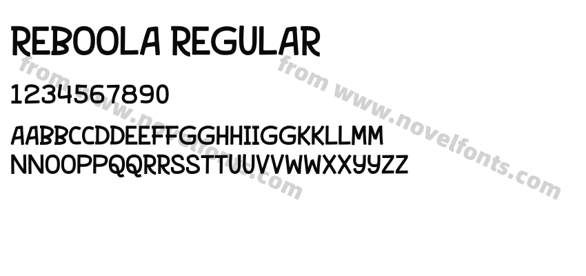 REBOOLA RegularPreview