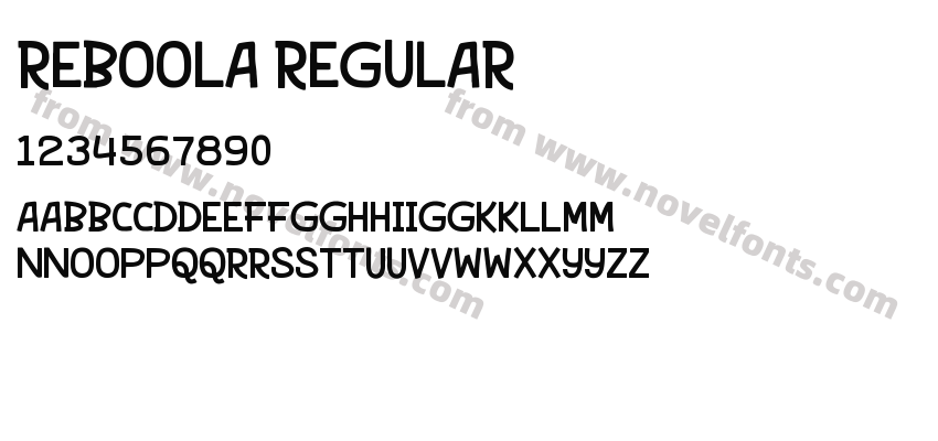 REBOOLA RegularPreview