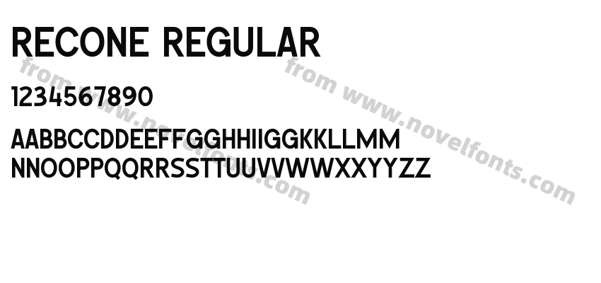 RECONE RegularPreview