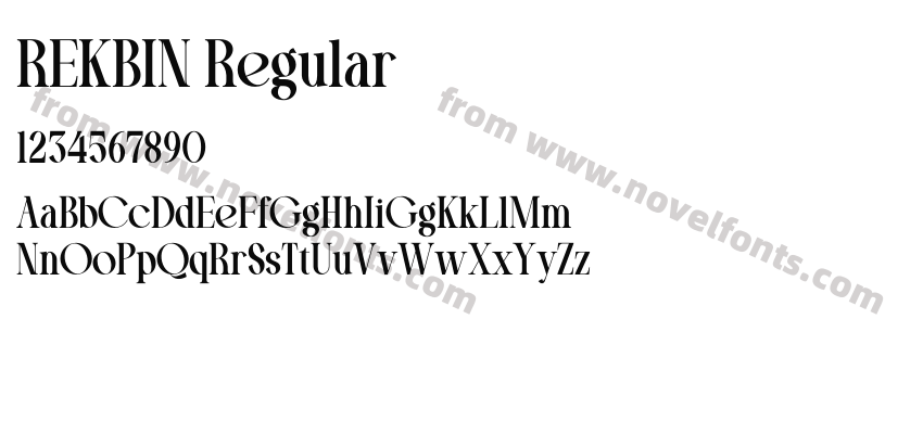 REKBIN RegularPreview