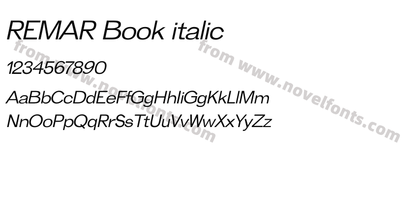 REMAR Book italicPreview
