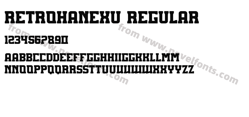 RETROHANEXU RegularPreview