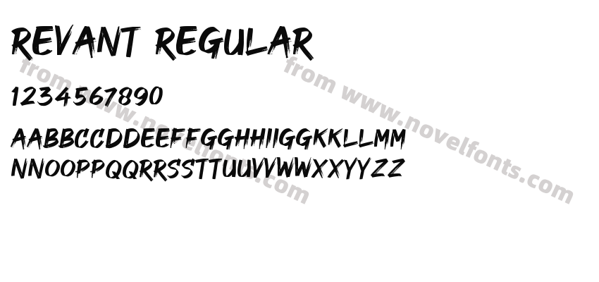 REVANT RegularPreview