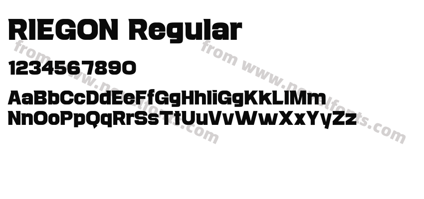 RIEGON RegularPreview