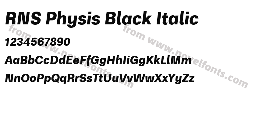 RNS Physis Black ItalicPreview