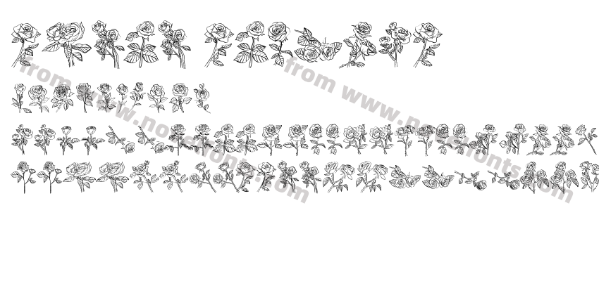 ROSES RegularPreview