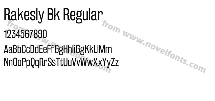 Rakesly Bk RegularPreview