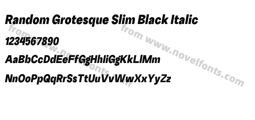 Random Grotesque Slim Black ItalicPreview