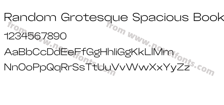Random Grotesque Spacious BookPreview