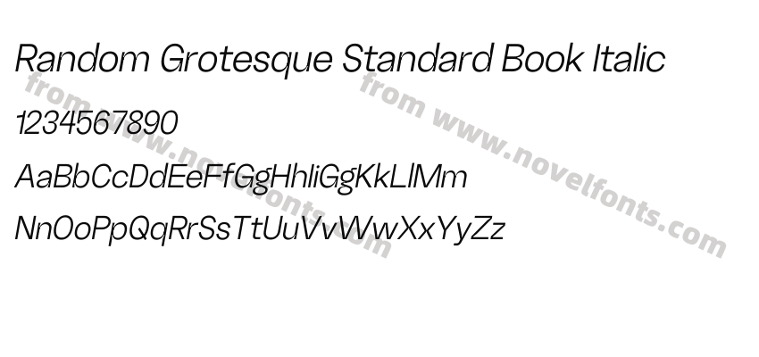 Random Grotesque Standard Book ItalicPreview