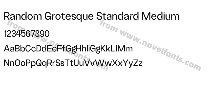 Random Grotesque Standard MediumPreview