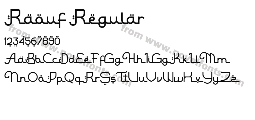Raouf RegularPreview