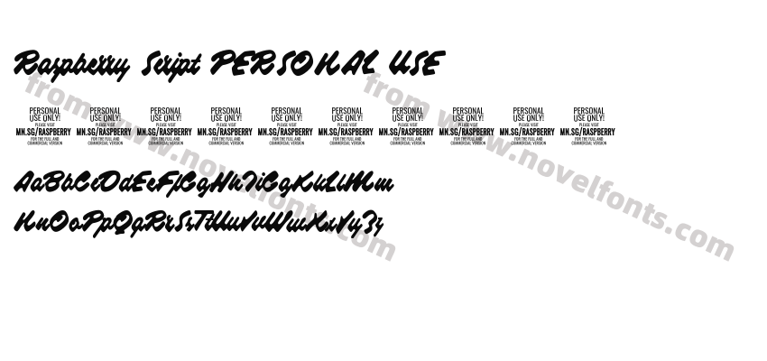Raspberry Script PERSONAL USEPreview