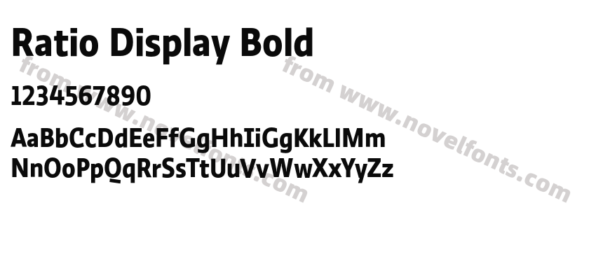 Ratio Display BoldPreview
