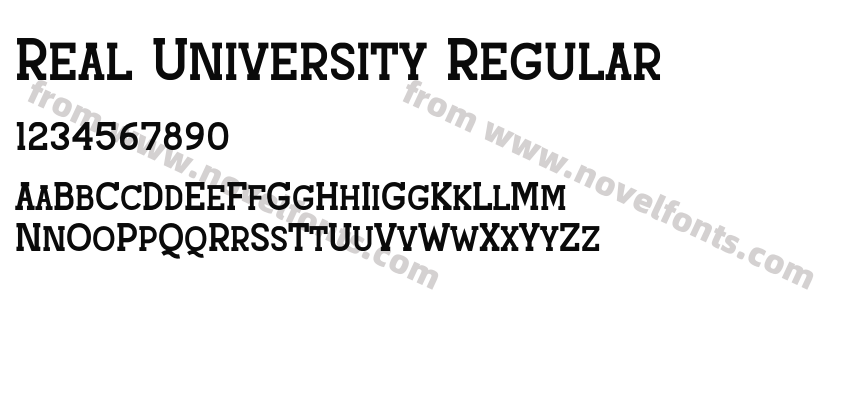 Real University RegularPreview