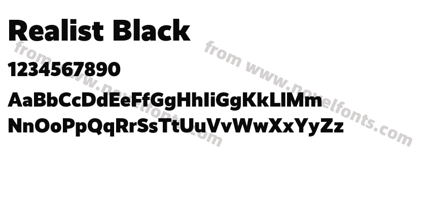 Realist BlackPreview