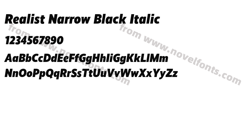 Realist Narrow Black ItalicPreview