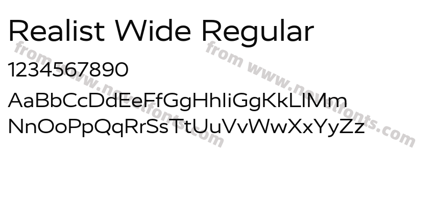 Realist Wide RegularPreview