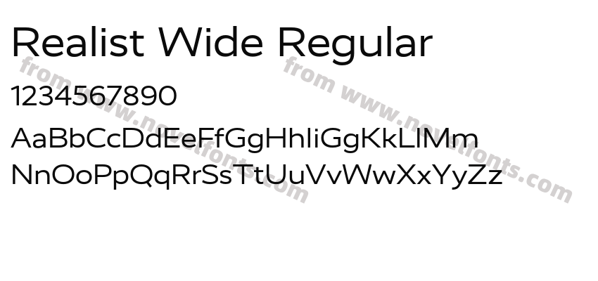 Realist Wide RegularPreview