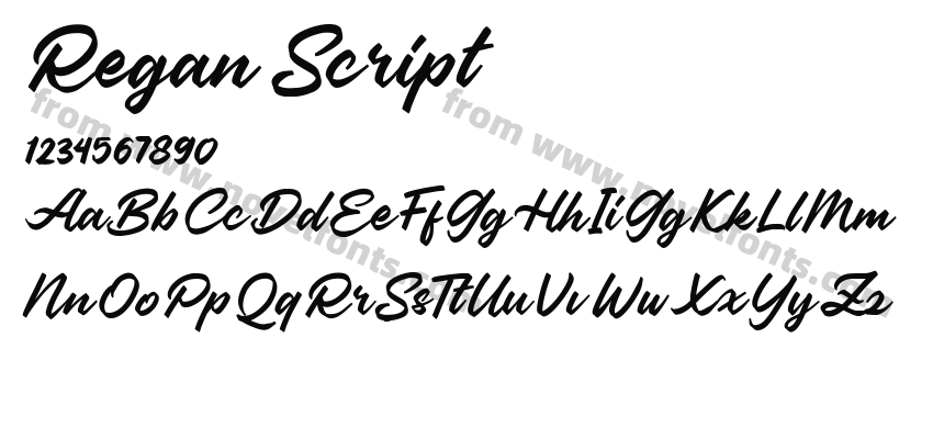 Regan ScriptPreview
