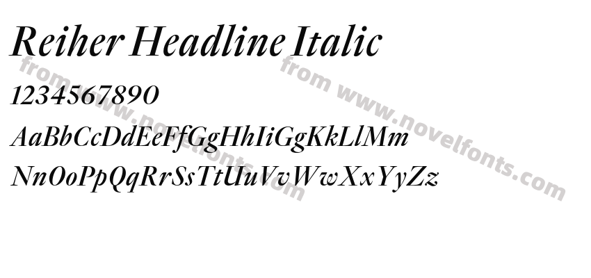 Reiher Headline ItalicPreview