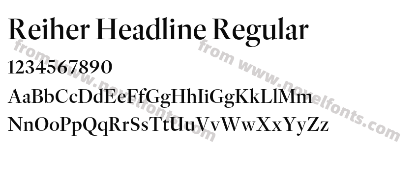 Reiher Headline RegularPreview