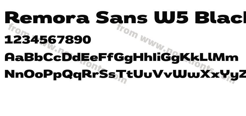 Remora Sans W5 BlackPreview
