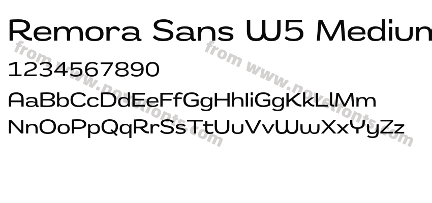 Remora Sans W5 MediumPreview