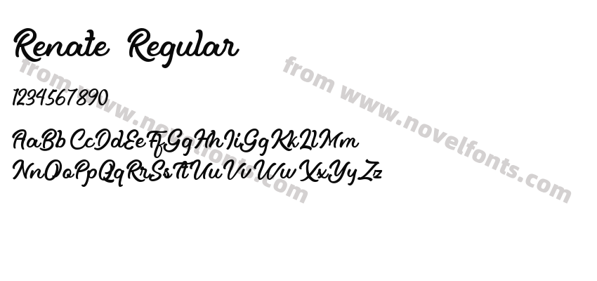 Renate RegularPreview