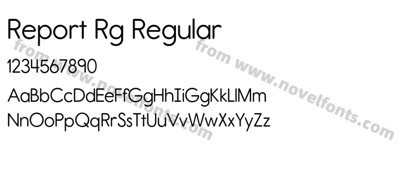 Report Rg RegularPreview