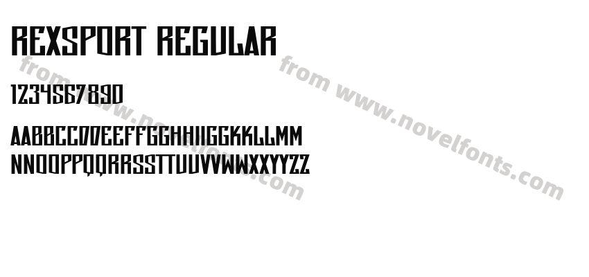 Rexsport RegularPreview
