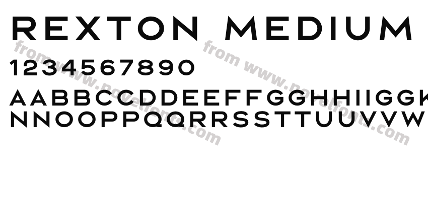 Rexton Medium MediumPreview