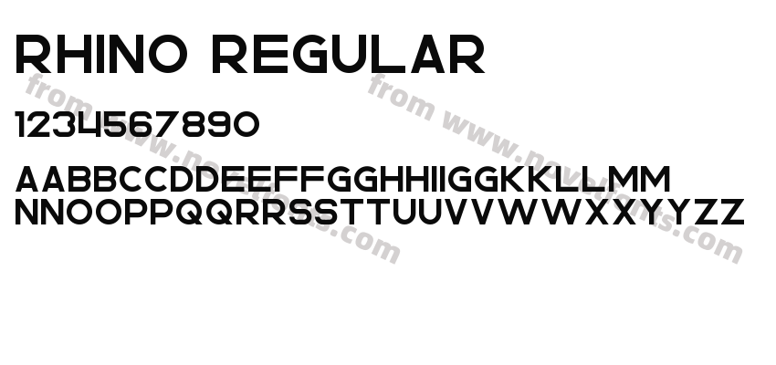 Rhino RegularPreview