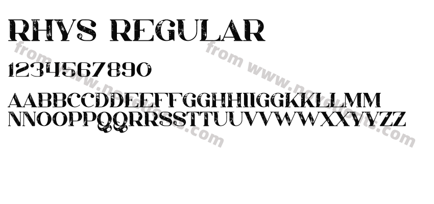 Rhys RegularPreview